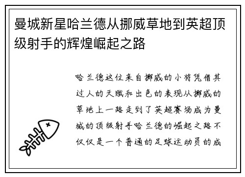 曼城新星哈兰德从挪威草地到英超顶级射手的辉煌崛起之路
