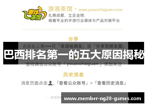 巴西排名第一的五大原因揭秘