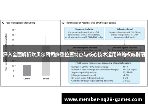 深入全面解析坎贝尔所司多重位置特点与核心技术运用策略权威指南