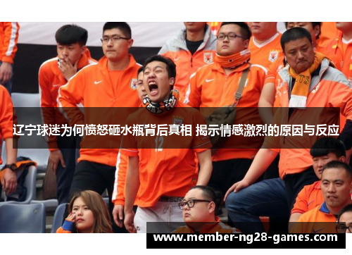 辽宁球迷为何愤怒砸水瓶背后真相 揭示情感激烈的原因与反应